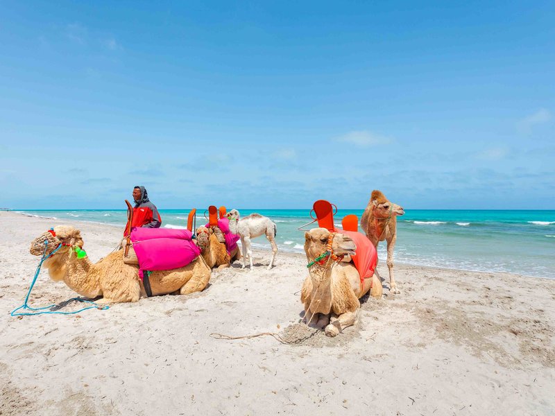 Cesar Thalasso - Erwachsenenhotel 30