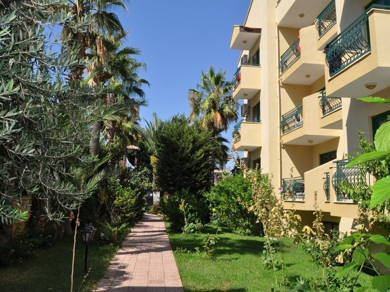 Hibiscus Apart & Garden 3