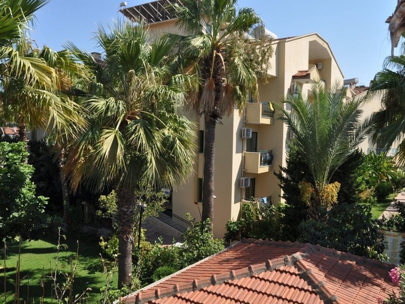 Hibiscus Apart & Garden 5