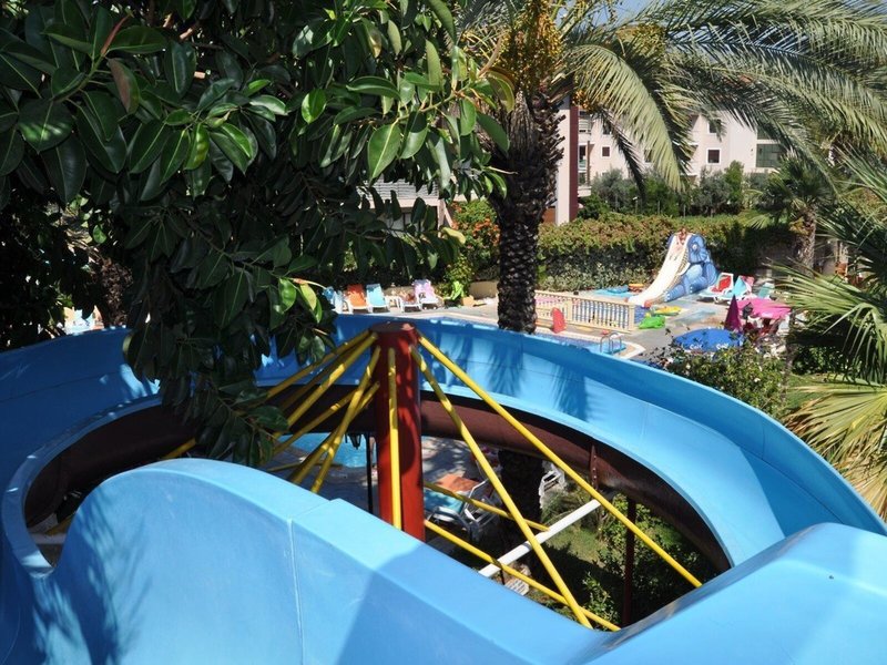 Hibiscus Apart & Garden 6