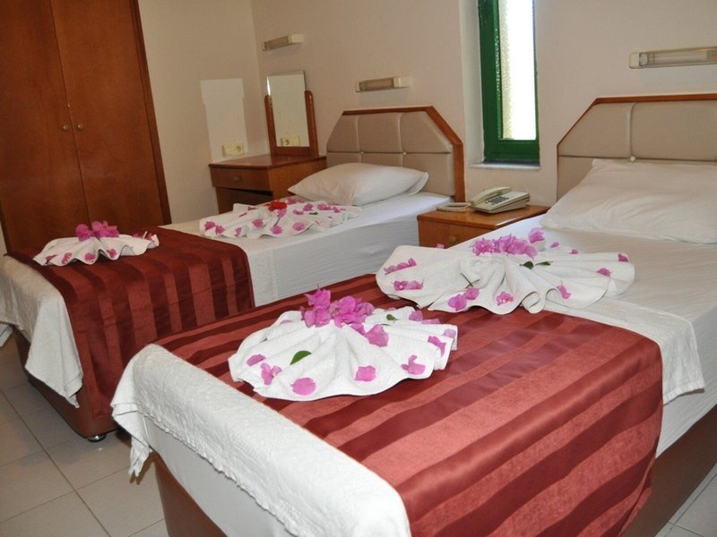 Hibiscus Apart & Garden 13