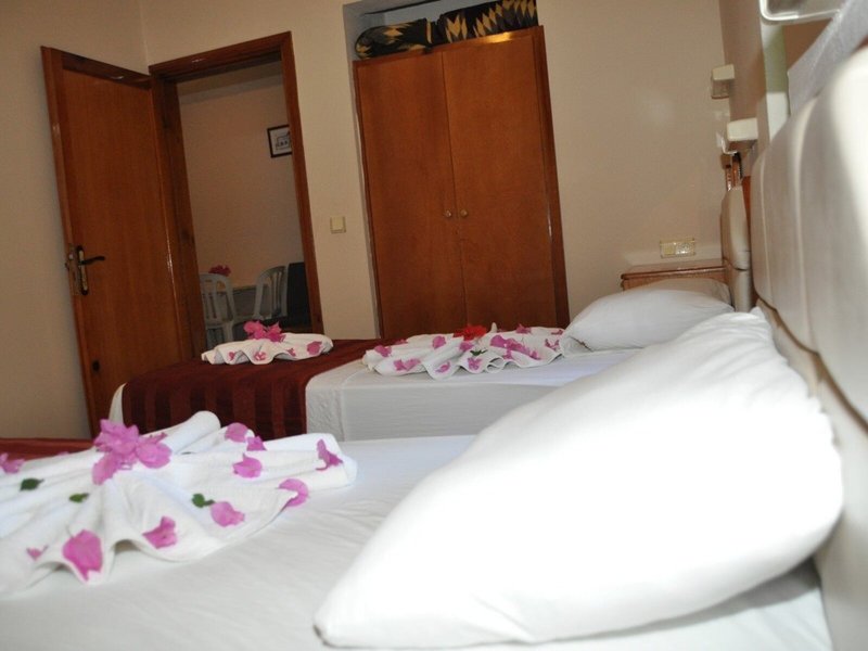 Hibiscus Apart & Garden 16