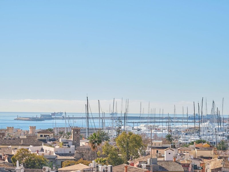 Almudaina 7