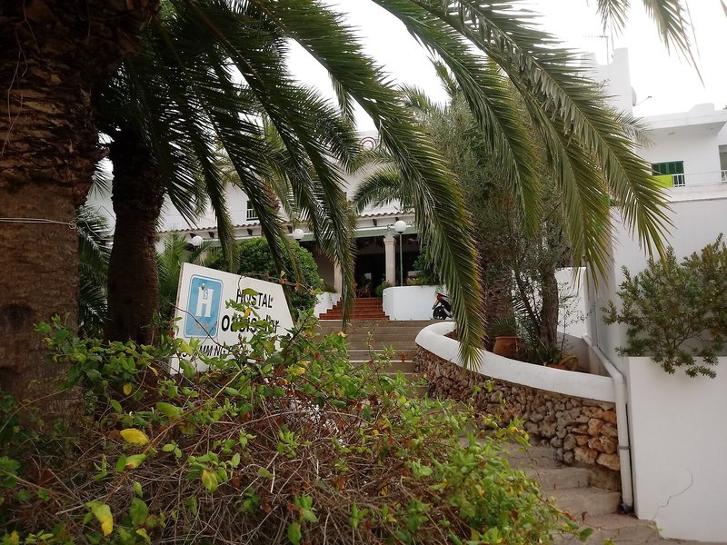 Oasis d'Or