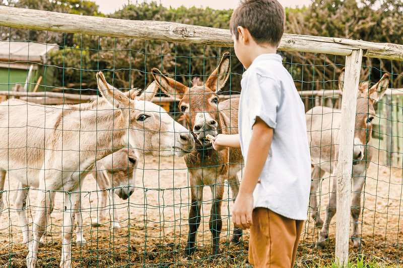 Falkensteiner Resort Capo Boi 25