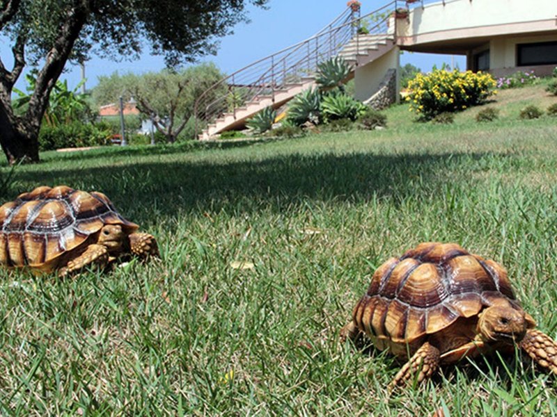 Hotel Santa Chiara 25