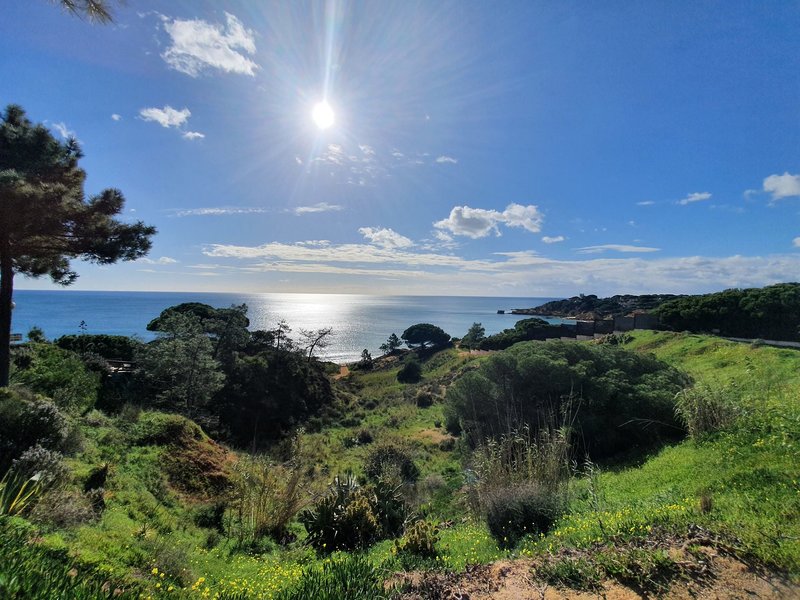 Quinta Pedra Dos Bicos 9