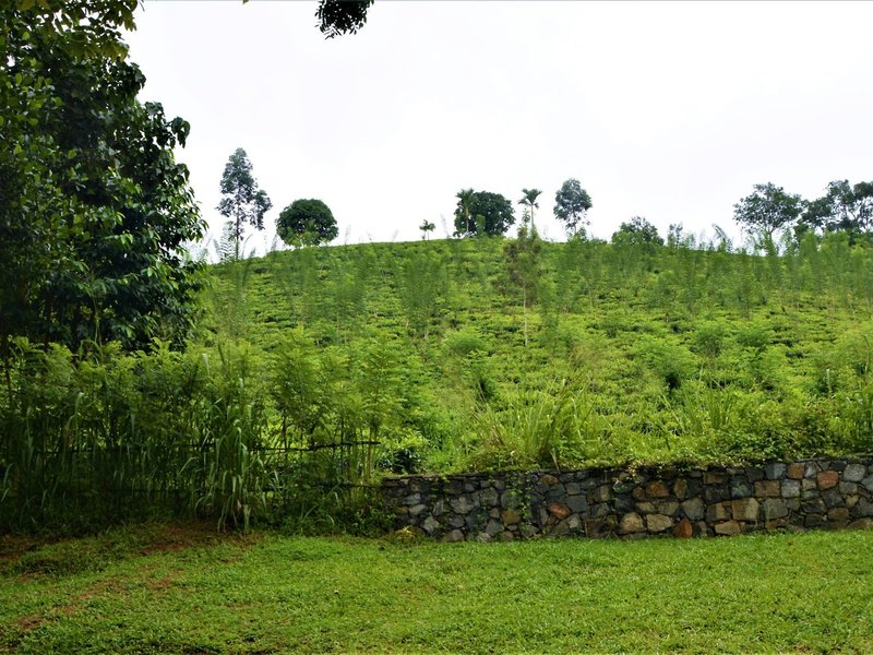 Santani Wellness Kandy 40
