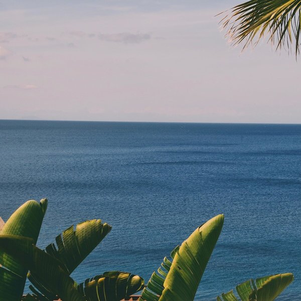 Allium Bodrum Resort & Spa 11