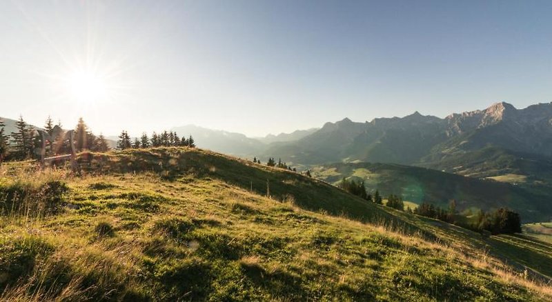 Der Alpenhof Maria Alm 1