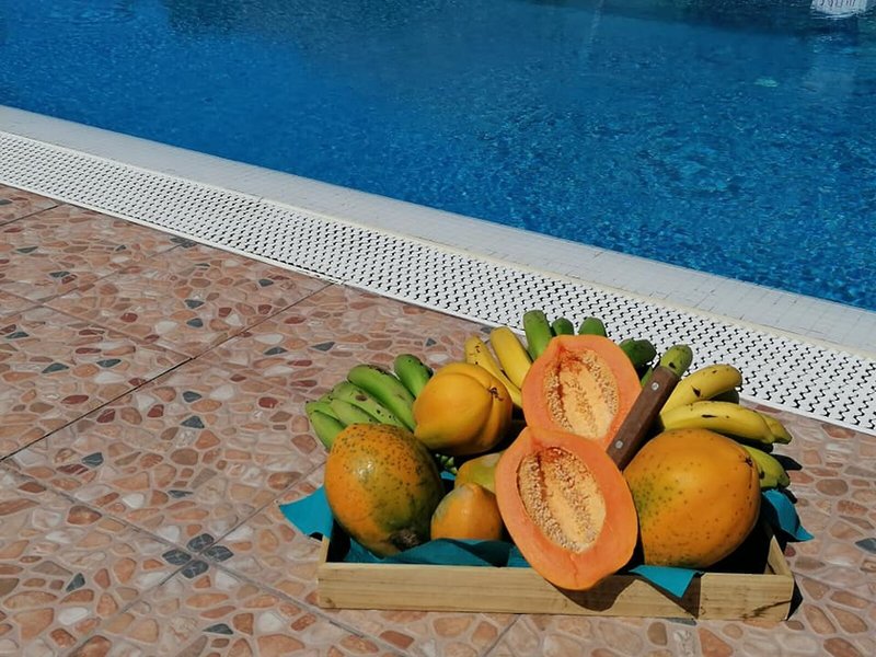 Sol Mogan Suites 15