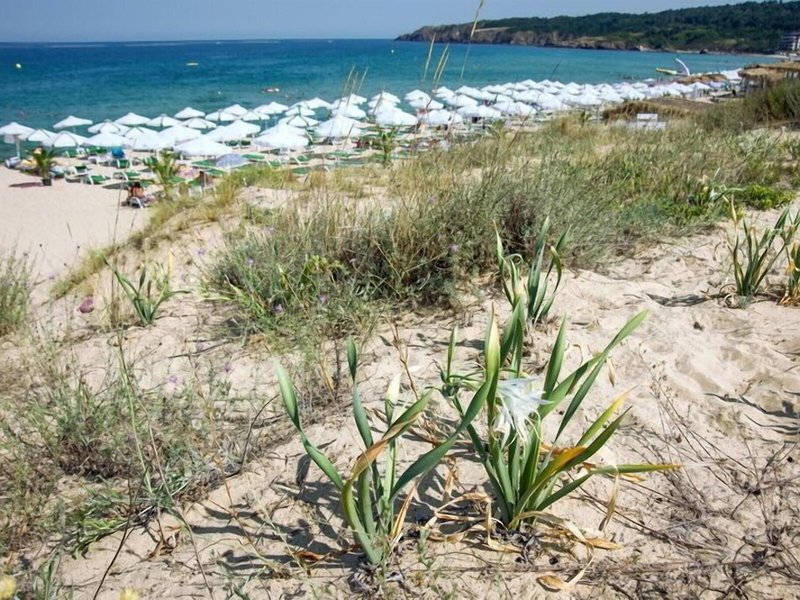 Miramar Hotel Sozopol 7