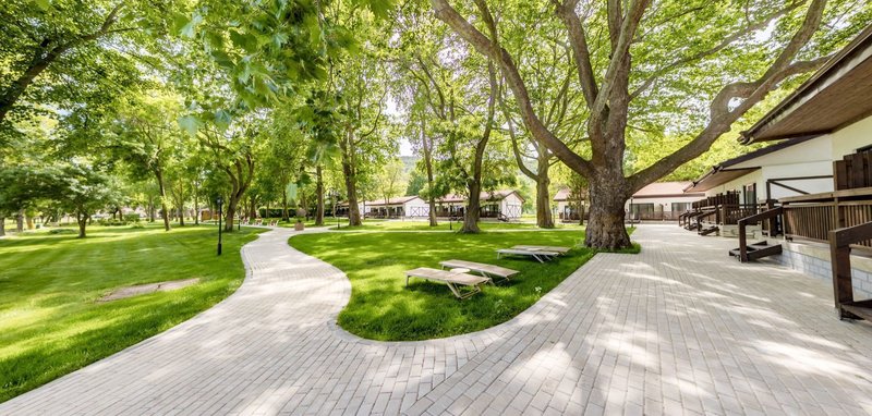 Effect Algara Beach 11