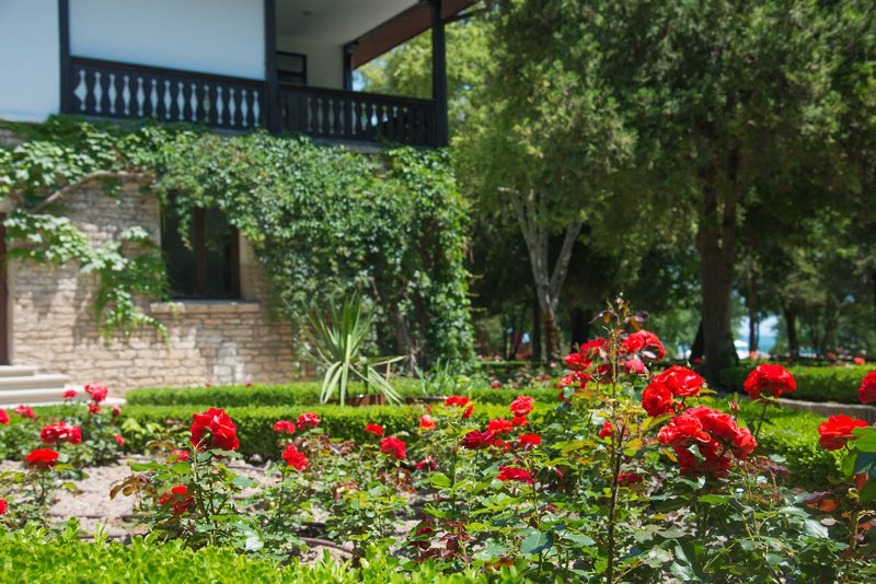 Effect Algara Beach 34