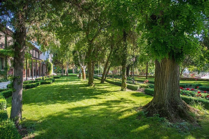 Effect Algara Beach 35