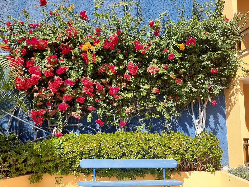 Roca Mar Lido Resorts - Hotel Cais da Oliveira 6