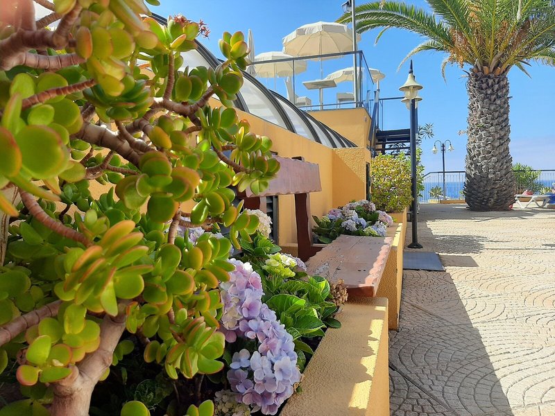 Roca Mar Lido Resorts - Hotel Cais da Oliveira 7