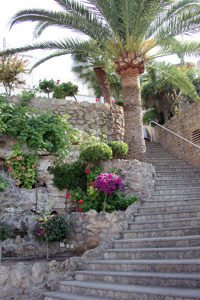 Hotel Casablanca 13