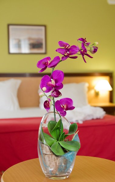 Quinta Bela Sao Tiago 43