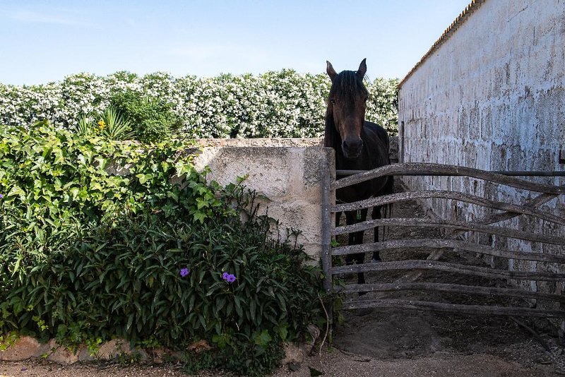 Agroturismo Son Juaneda