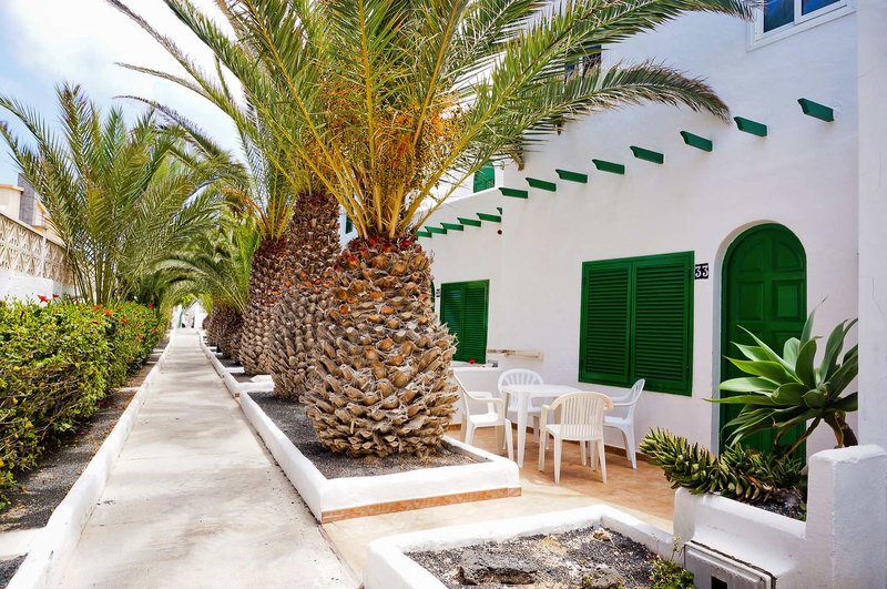 Cotillo Lagos 9