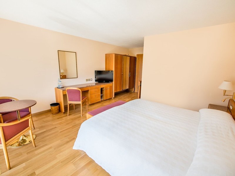 Hotel des Bains de Saillon 25