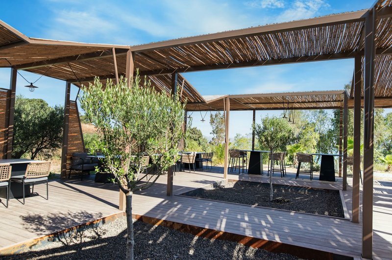 TUI SUNEO Achilleas 23 - Bar