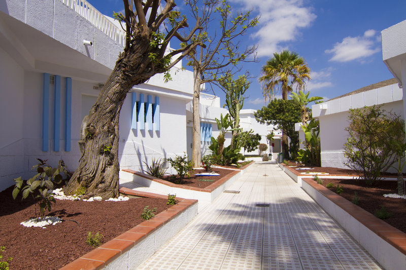Checkin Bungalows Atlantida 1