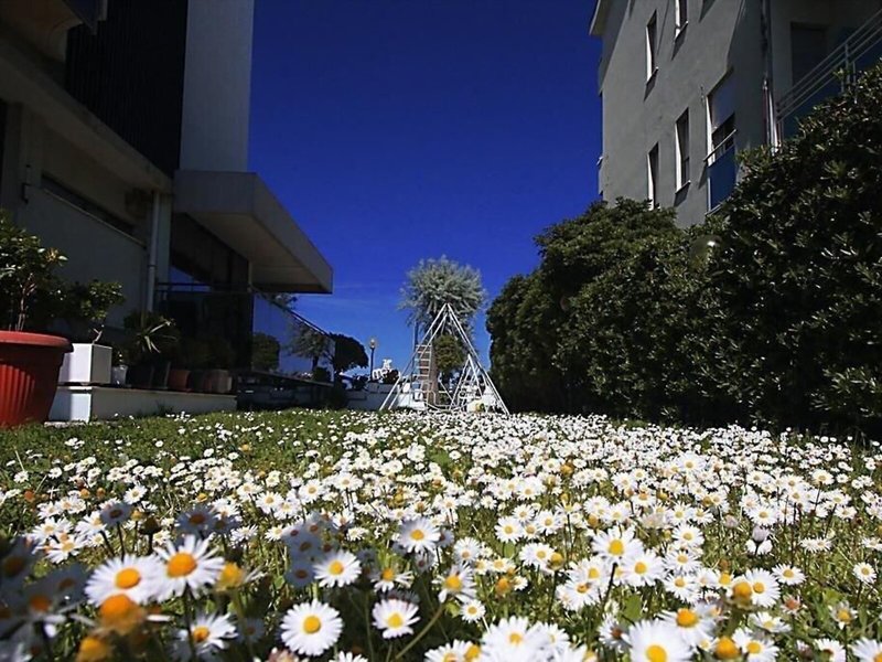 Hotel Avila In 5