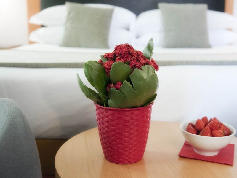 Ars Hotel 24