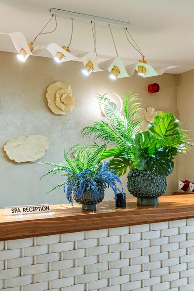 Almyros Beach Resort 447