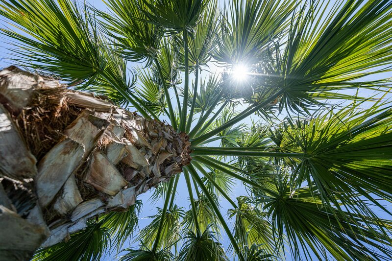 Almyros Beach Resort 492