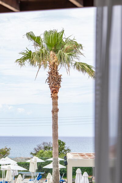 Almyros Beach Resort 494