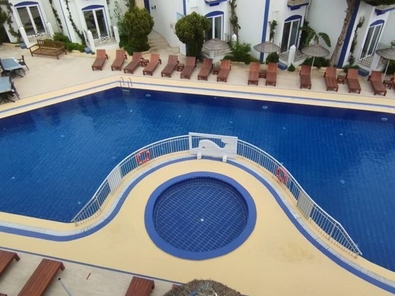 Serpina 8