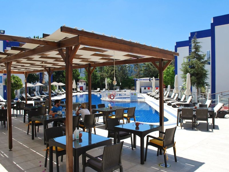 Serpina 28