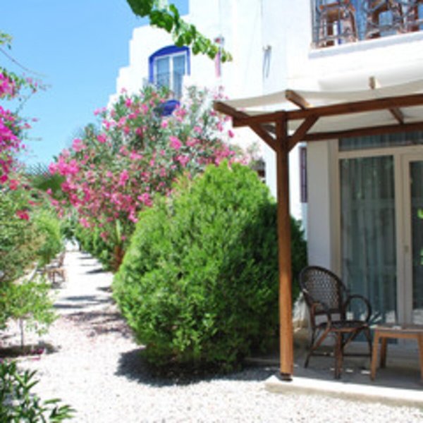 Serpina 49