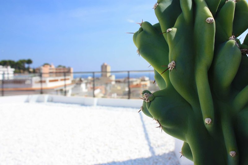 ALEGRIA Plaza Paris 5