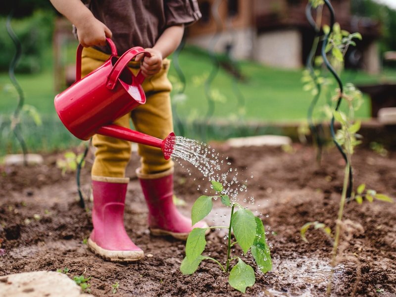 Domes Lake Algarve, Autograph Collection 16