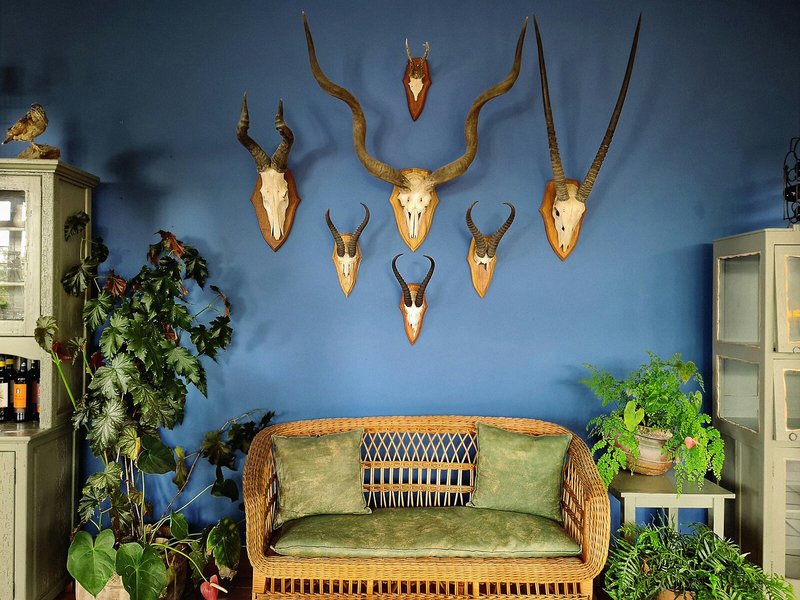 Villa Alto Boutique 27