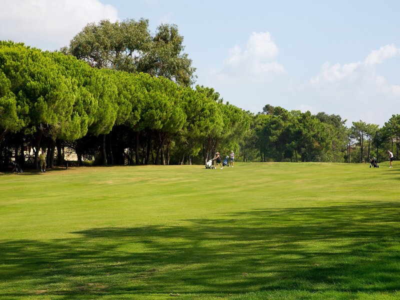 Interpass Aparthotel Golf Playa Country Club 21