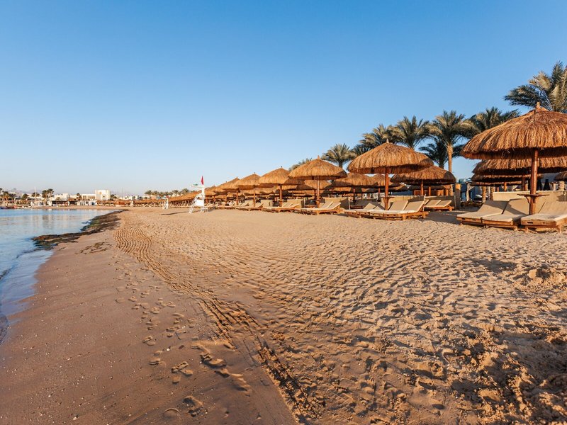 Sunrise Royal Makadi Aqua Resort 12