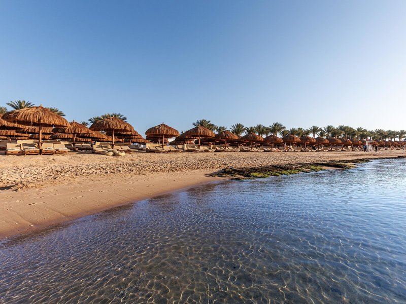 Sunrise Royal Makadi Aqua Resort 15