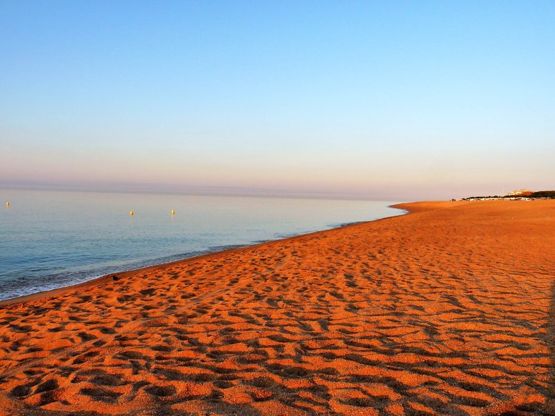 ALEGRIA Florida Park 6