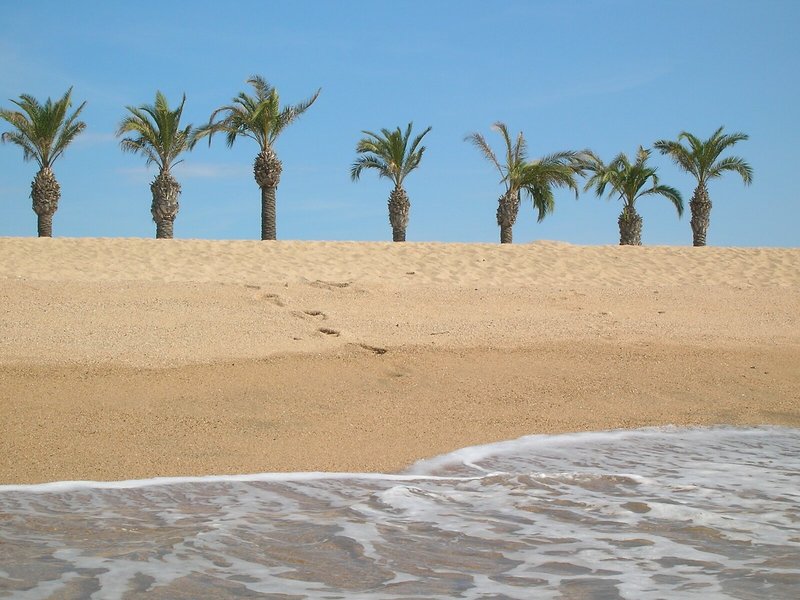 ALEGRIA Florida Park 7