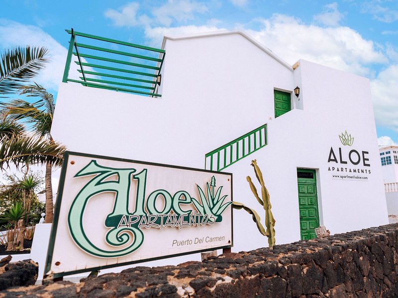 Aloe 5