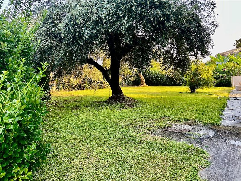 Bruskos 5 - Garden