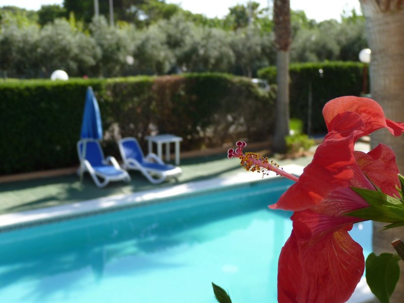 Apartamentos Vista Playa 11 - Outdoor Pool