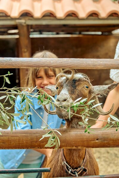 Wyndham Grand Crete Mirabello Bay  391