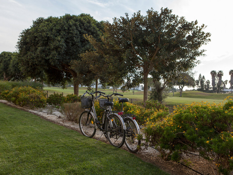 Barceló Costa Ballena Golf & Spa 13