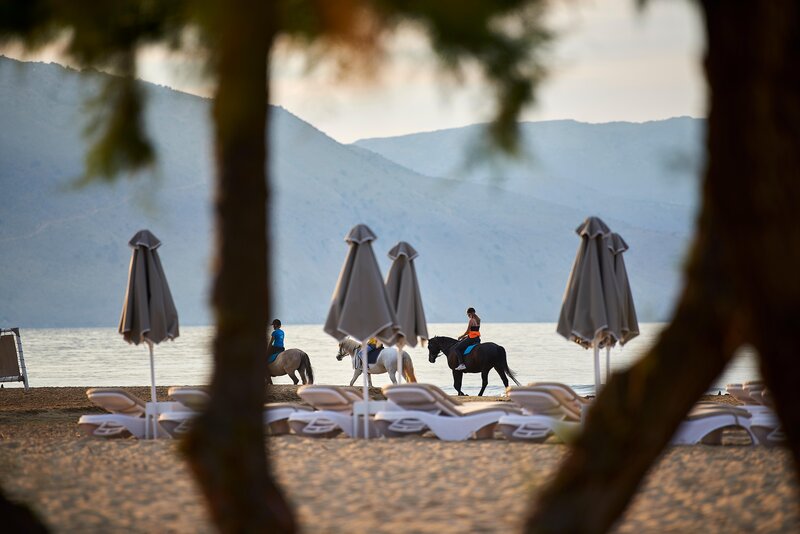 Mythos Palace Resort & Spa 29